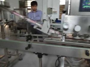 automatic servo motor 2 head filling line